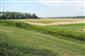 mlok dunajský (22.6.2014)